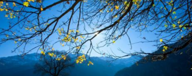 激光3D打印机 激光3D打印机